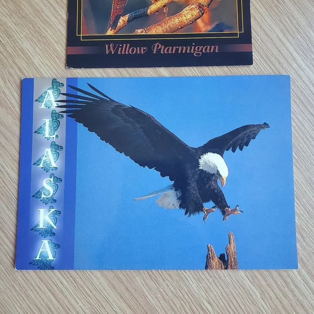 Vintage Alaska Themed State Postcards State Bird Willow Ptarmigan Bald Eagle 4x6